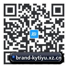 iOS 苹果生态原生版 二维码